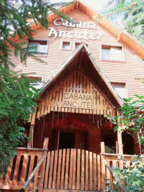 Отель Cabana Ancutei  Рукар